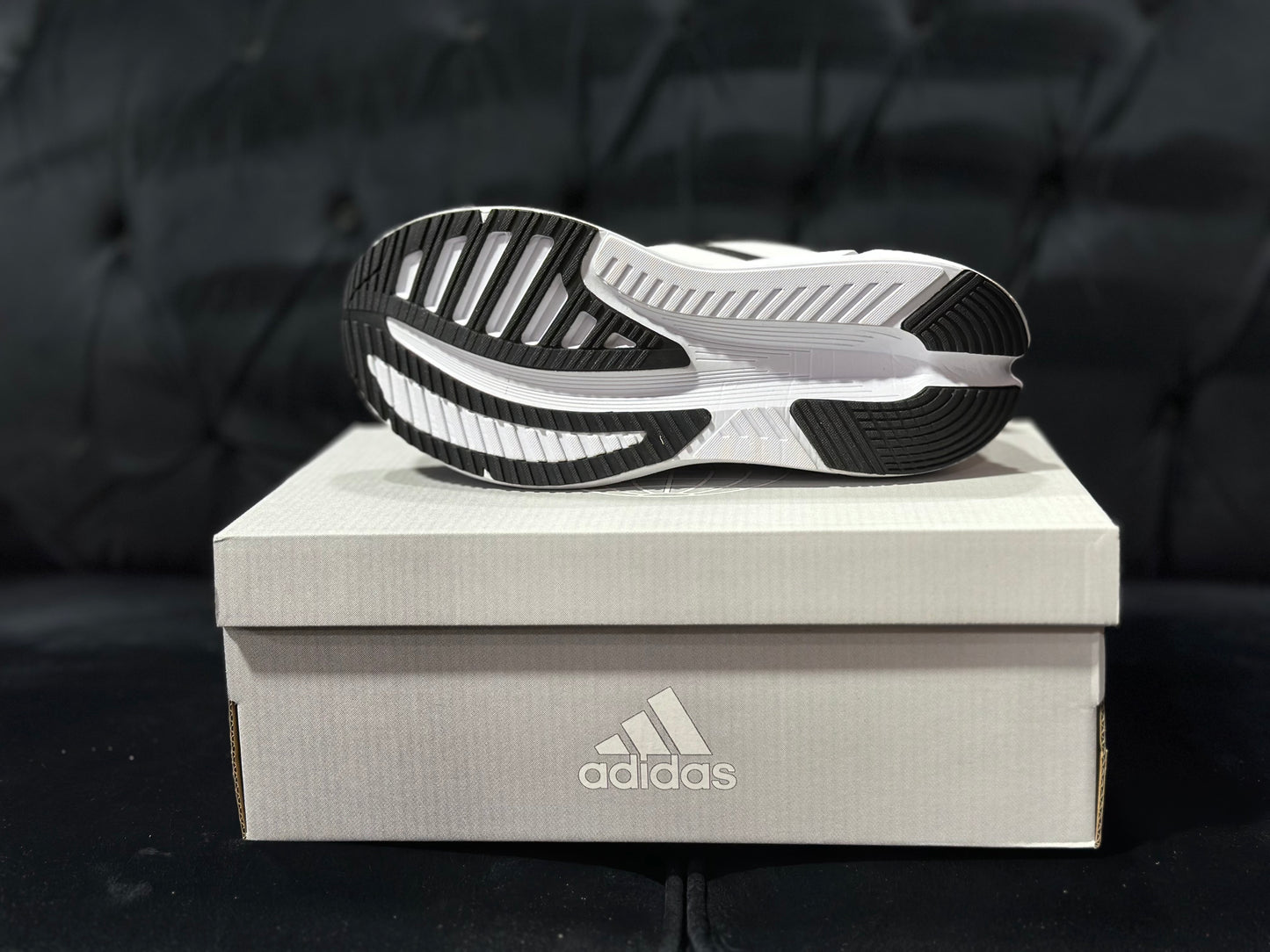 Adistar Repetitor Black/White