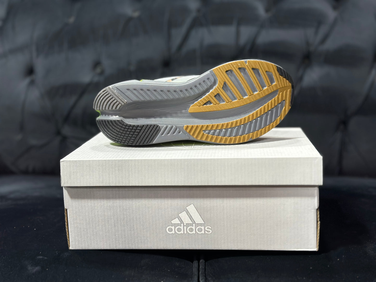 Adistar Repetitor Berlin